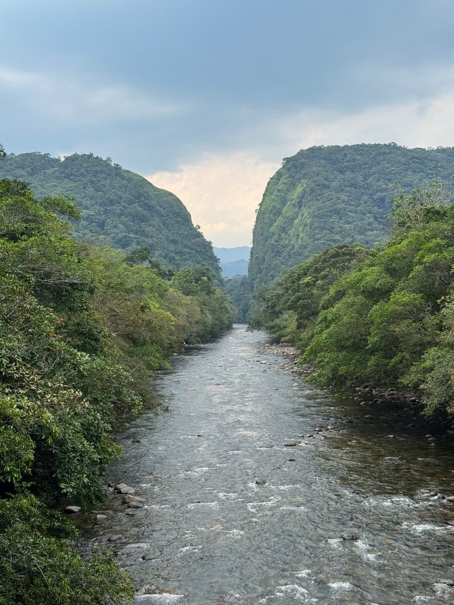 Manifiesta • Moda para la paz tweet media