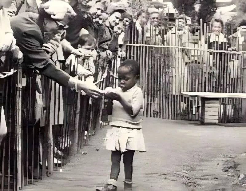 USA92 👨🏻‍🌾🇮🇨❌🇪🇸 tweet media