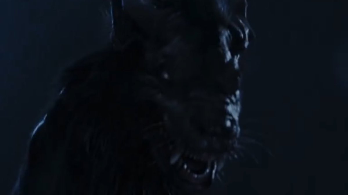 jared*⸆⸉ | maul shadow lord era tweet media