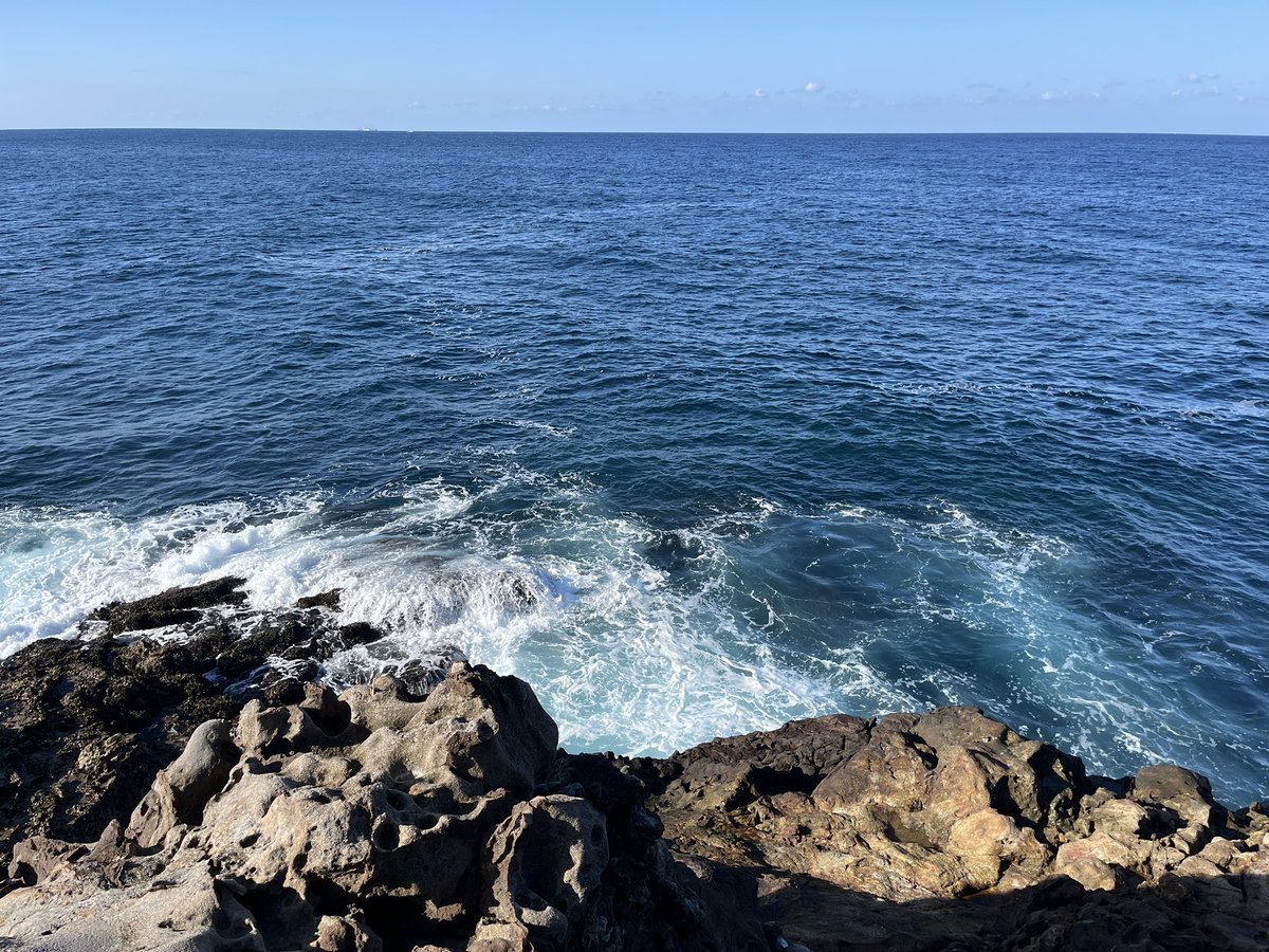 OSAKA ONO tweet media