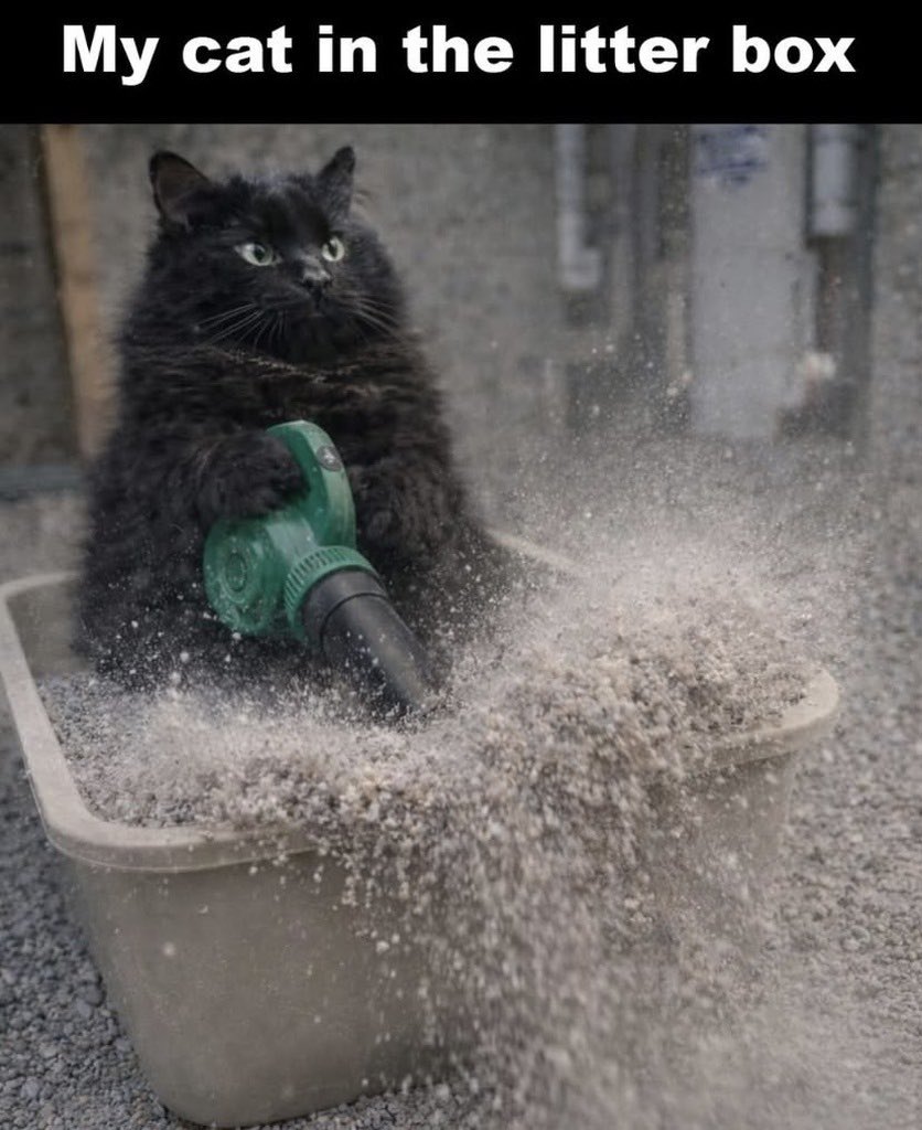 Holy Guacamole ☀️🏖️🐚🎆 tweet media