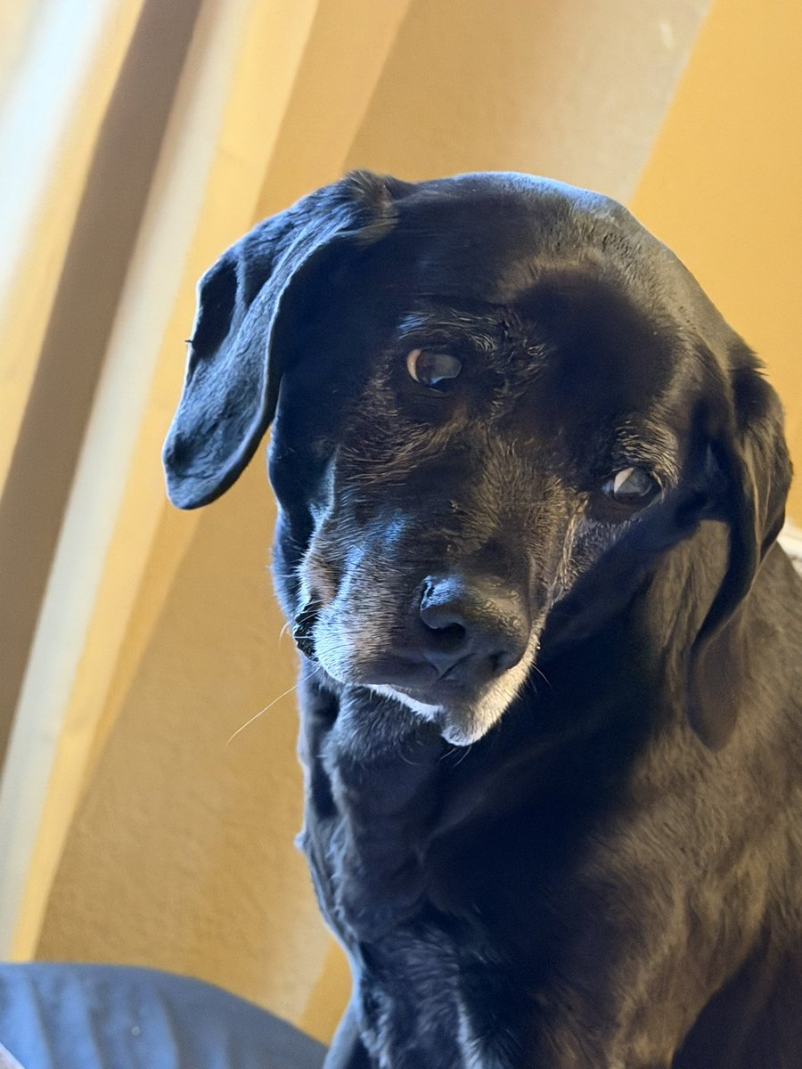 Georgia Mathers ☮️ tweet media