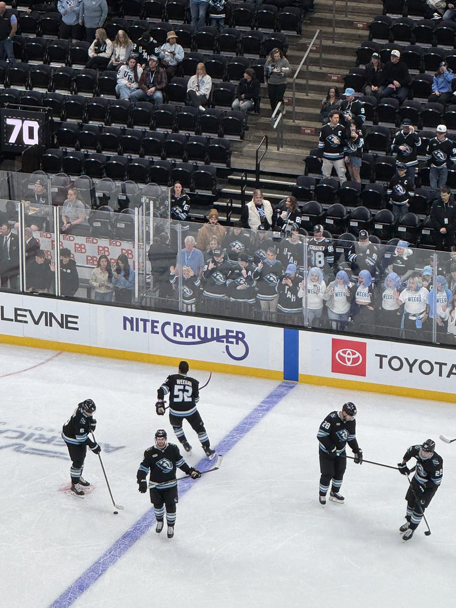 Tim the Mammoth 🦣 tweet media