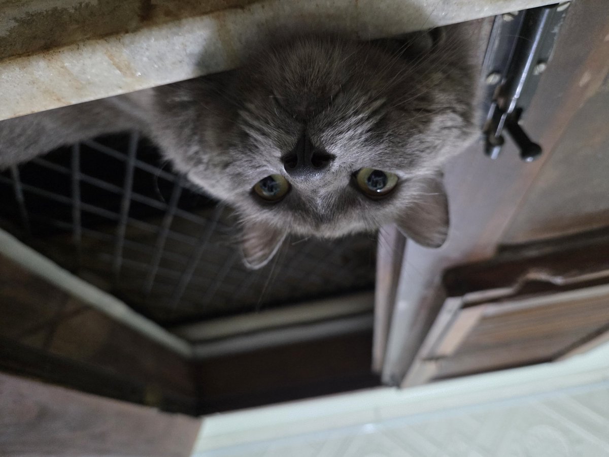 Me.DFT-CoFFee tweet media