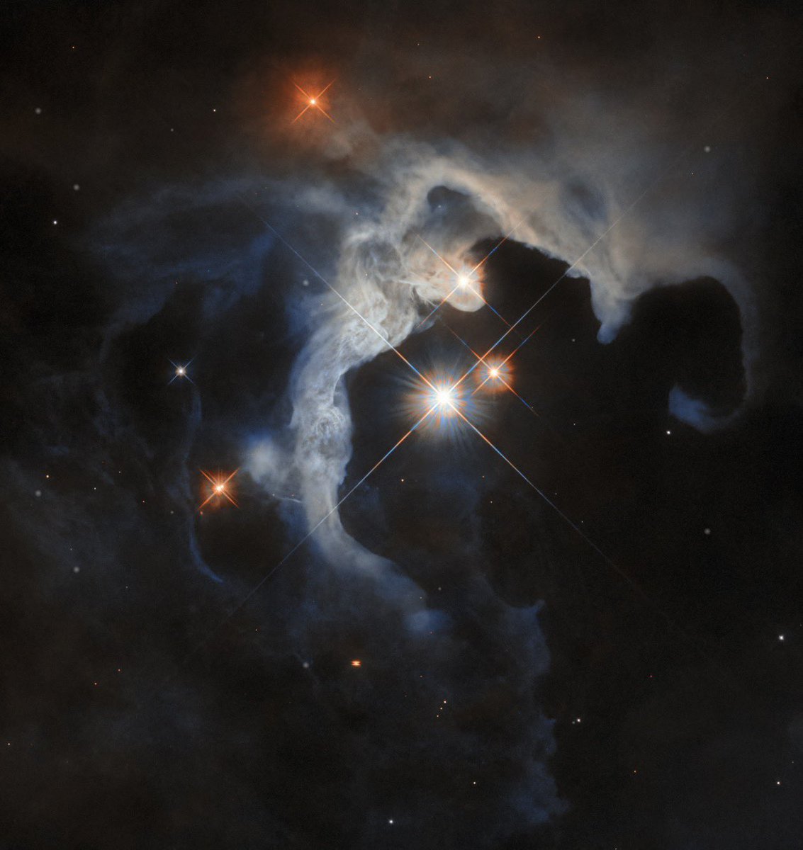 Aidan McLaughlin tweet media