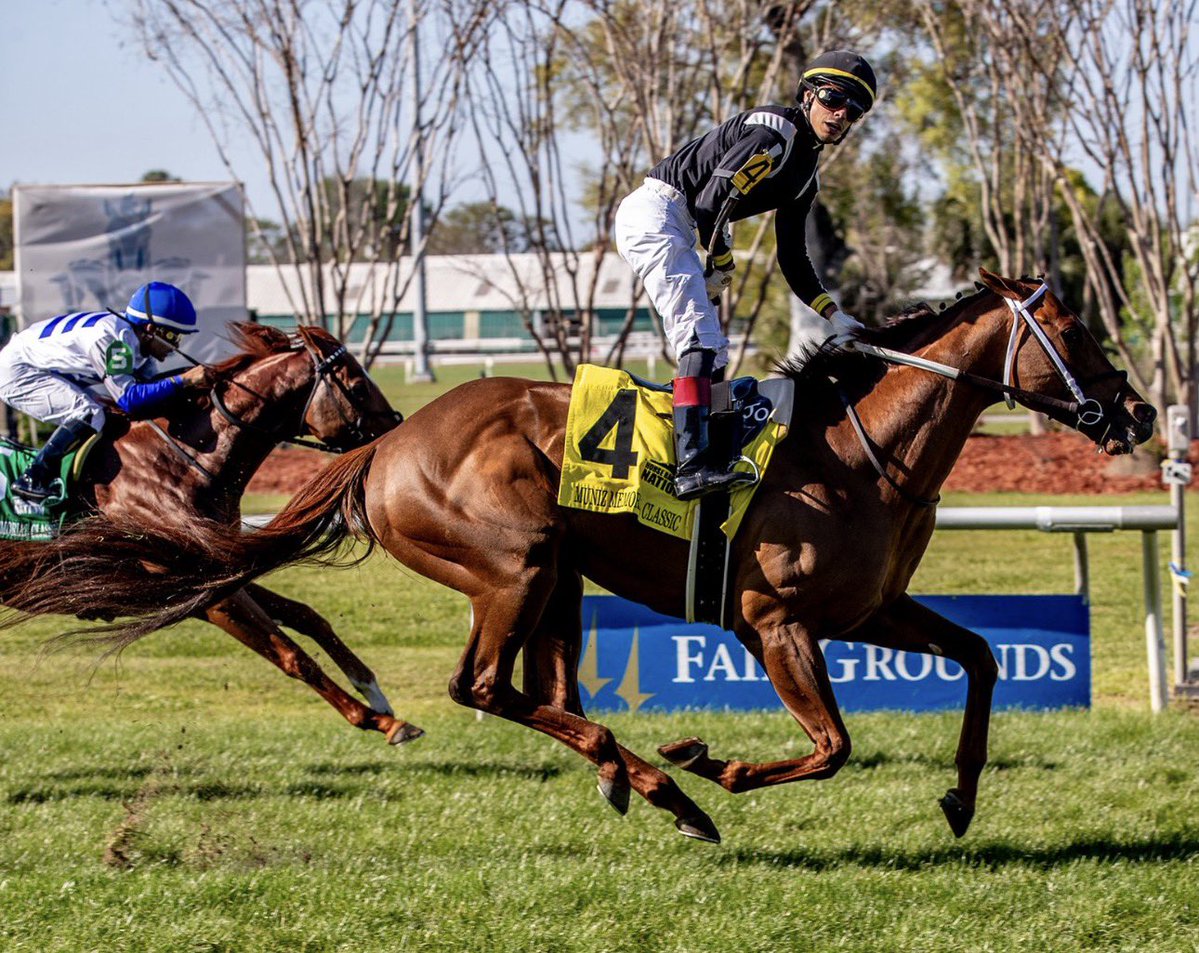 Stakes Winners 🏆 tweet media