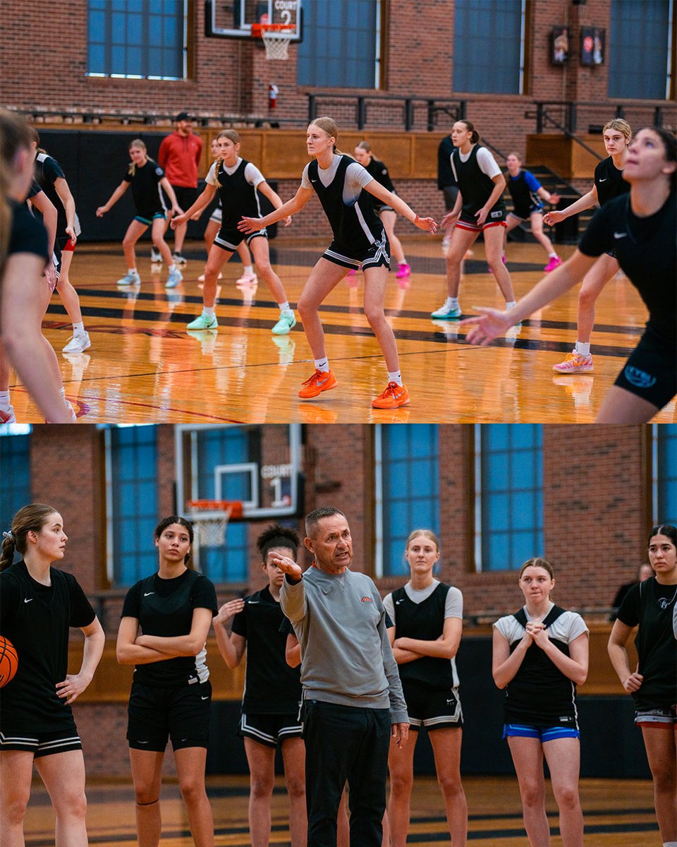 All Iowa Attack Girls tweet media