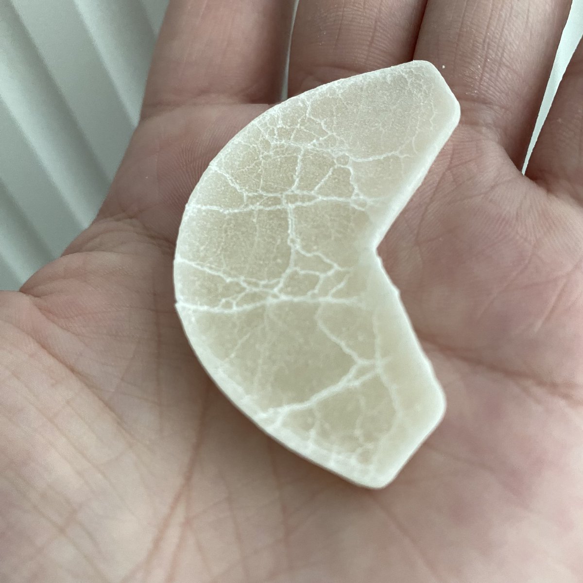 배불뚜기요정 tweet media