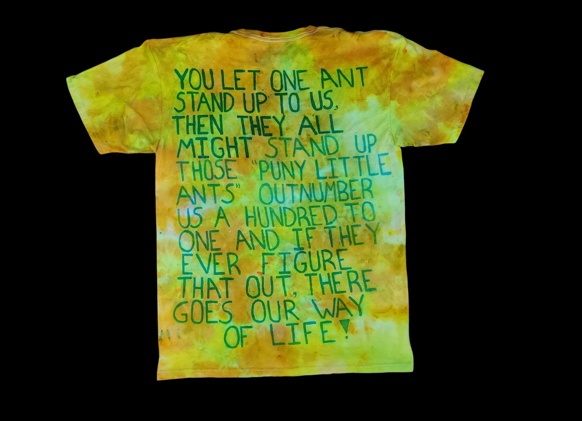 lizardbreathdye's tweet photo. Hand painted and dyed. I painted flik on then covered him with wax to protect him and dyed the rest. Adult LG. 🍃🐜🐛 https://t.co/PjLryRU9KH