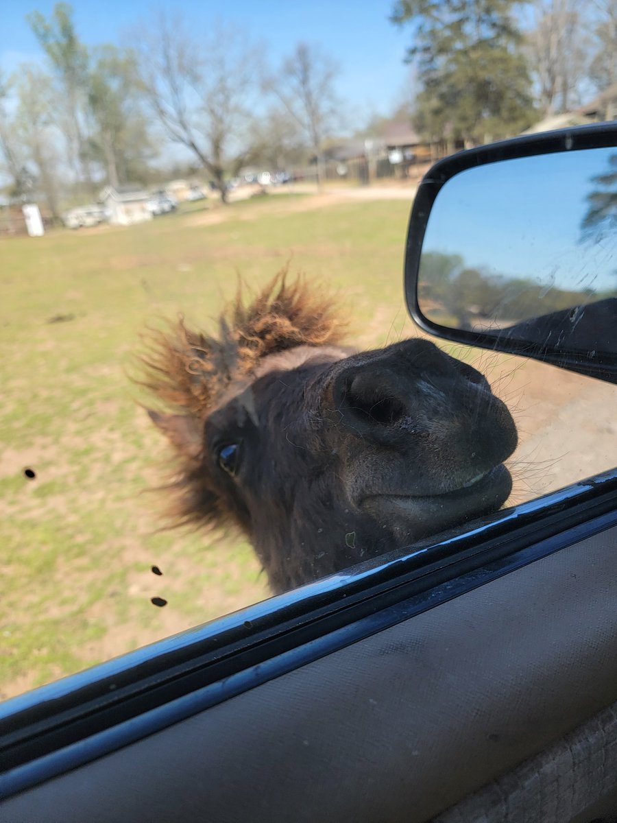 vanta♦️ tweet media