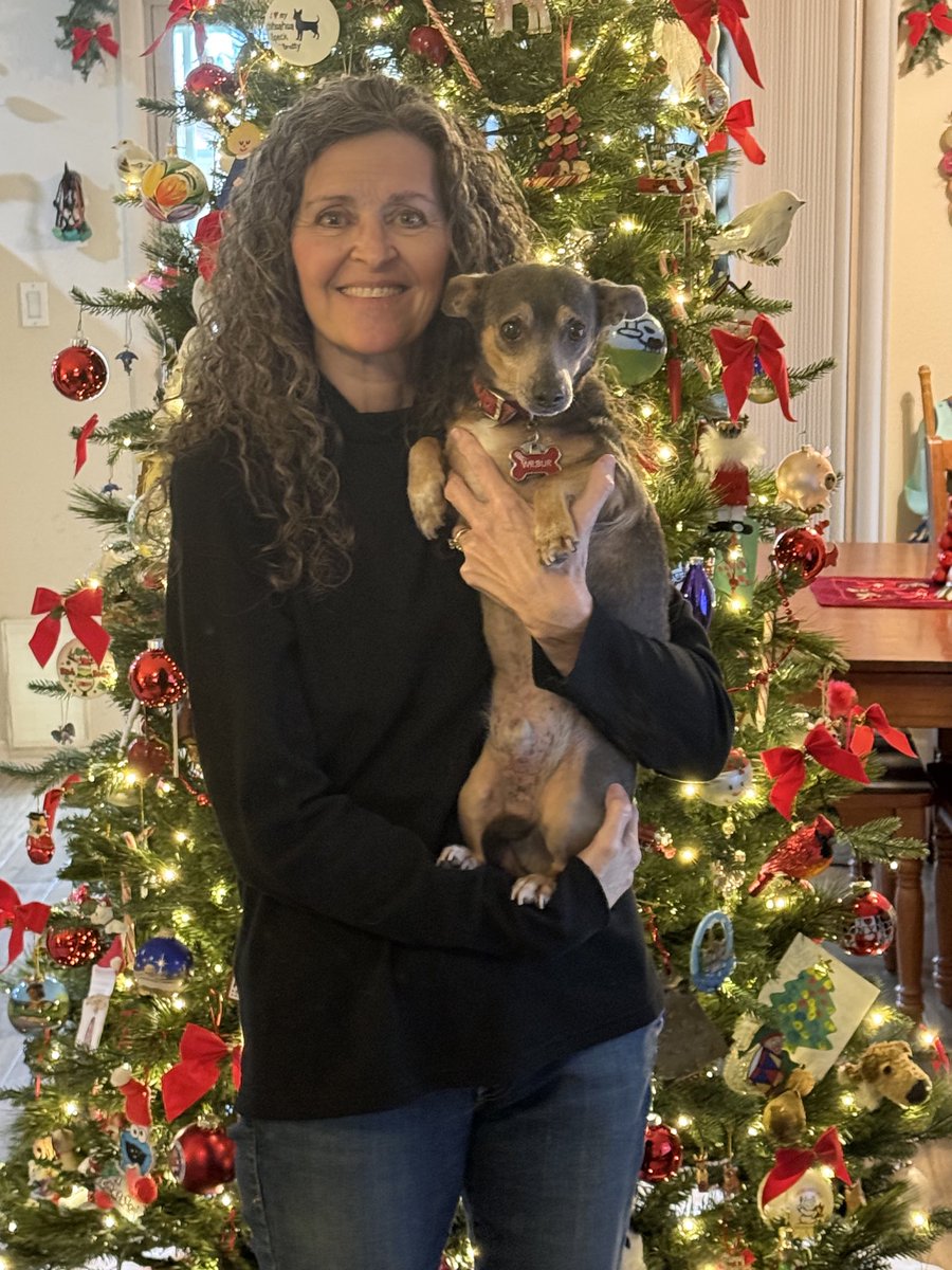 Chalala🐾🇺🇸 tweet media