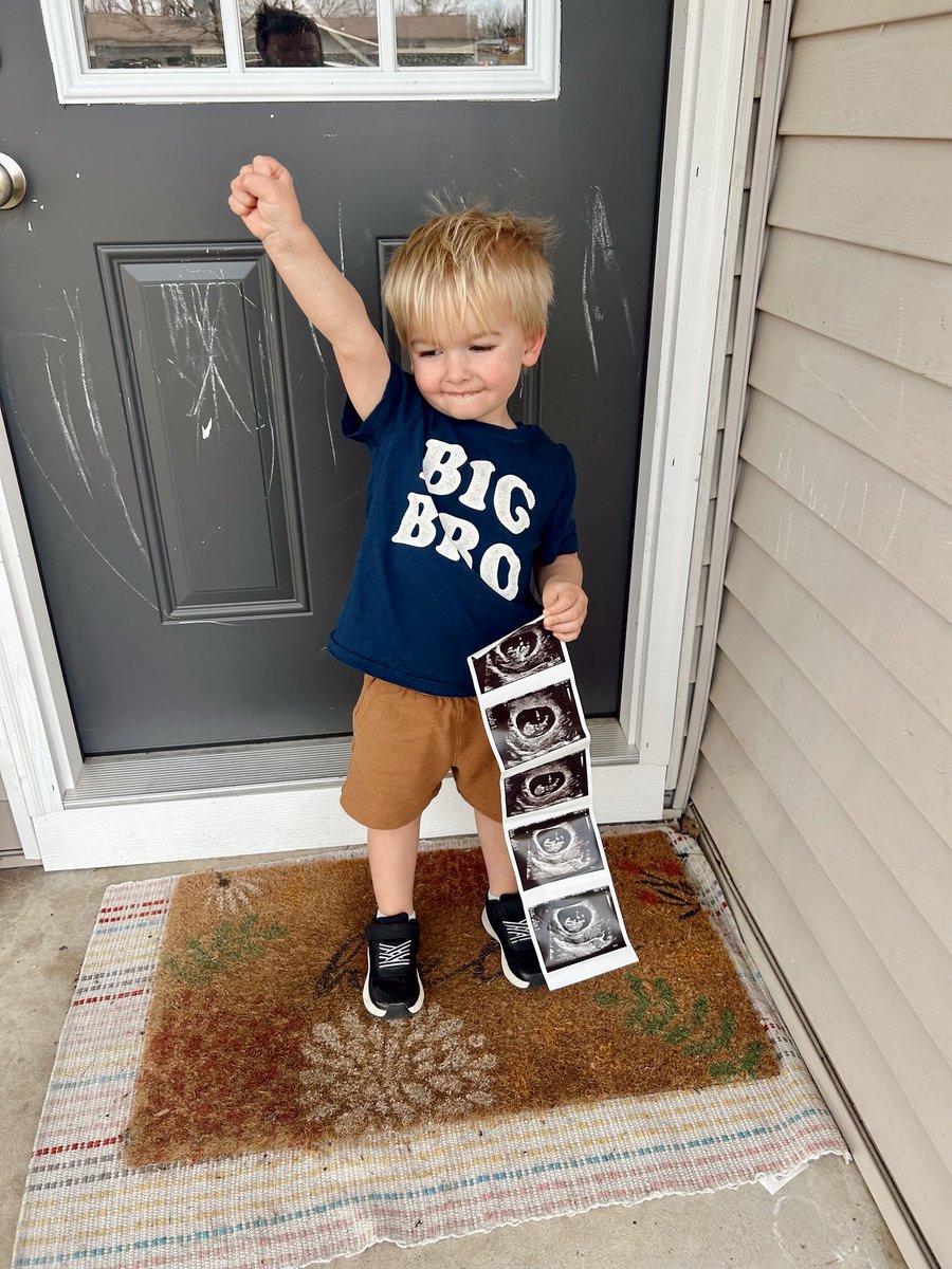 Landon Hay tweet media