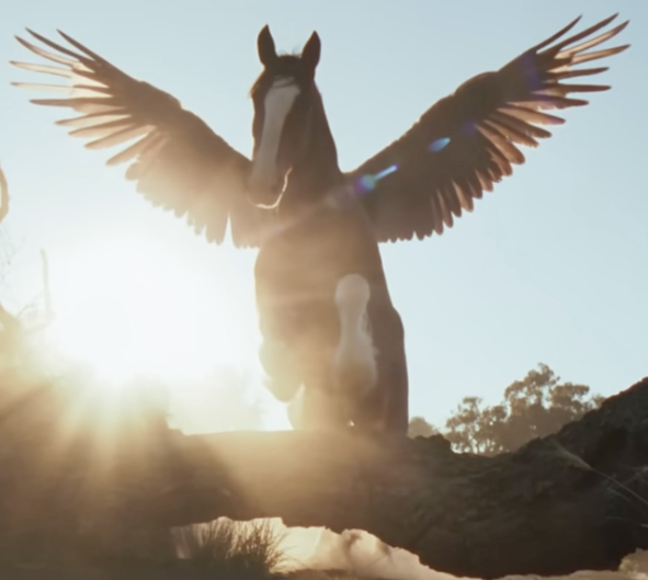 🌹 Jackson Hole Rose® tweet media