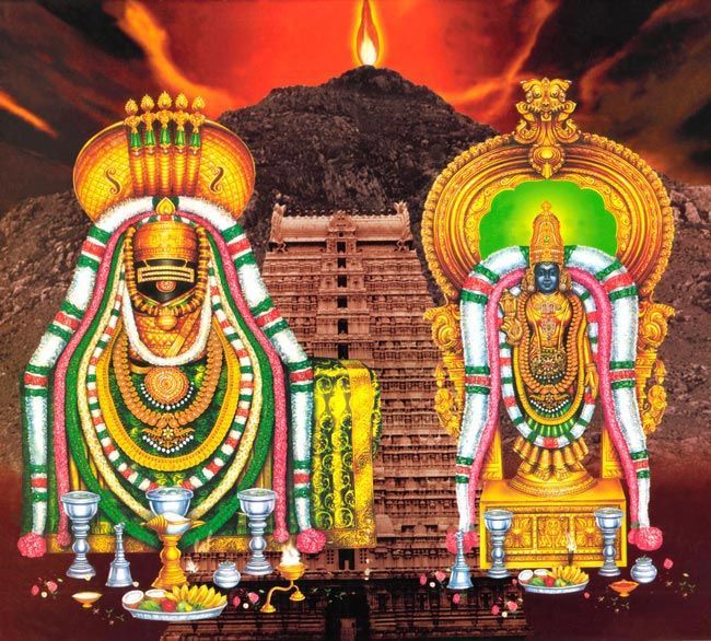 നായരുണ്ണി tweet media