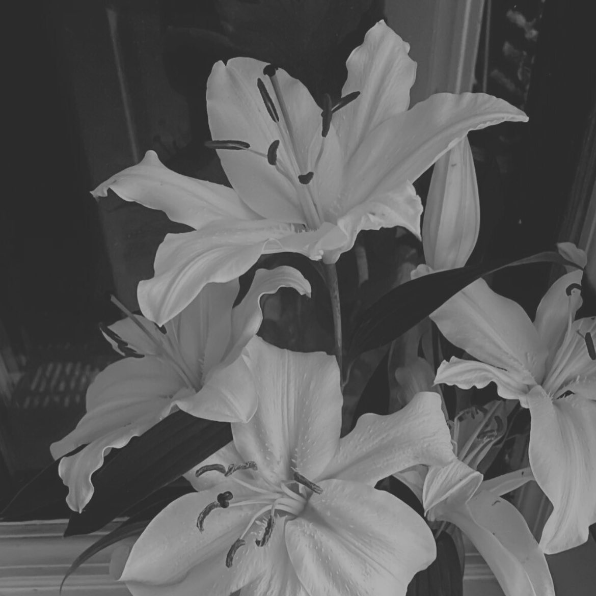 OCIE .ᐟ 🩷🎄 tweet media