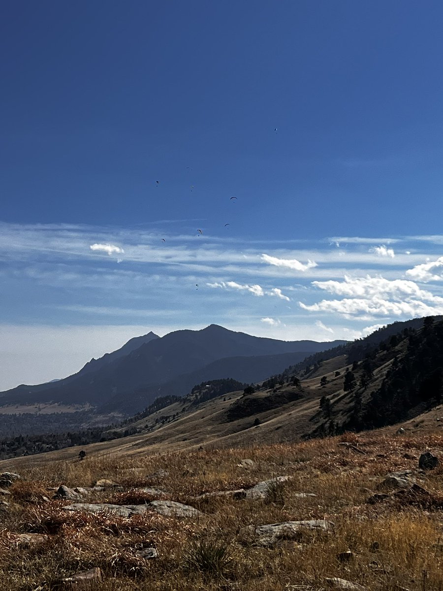 Eceertrey tweet media