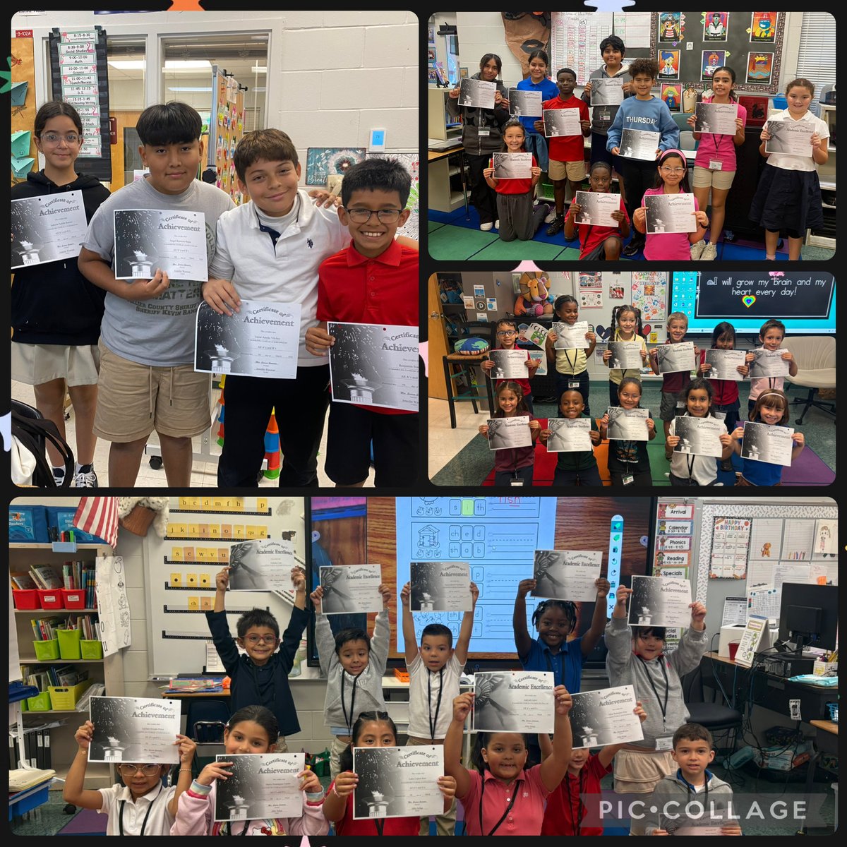 Calusa Park tweet media