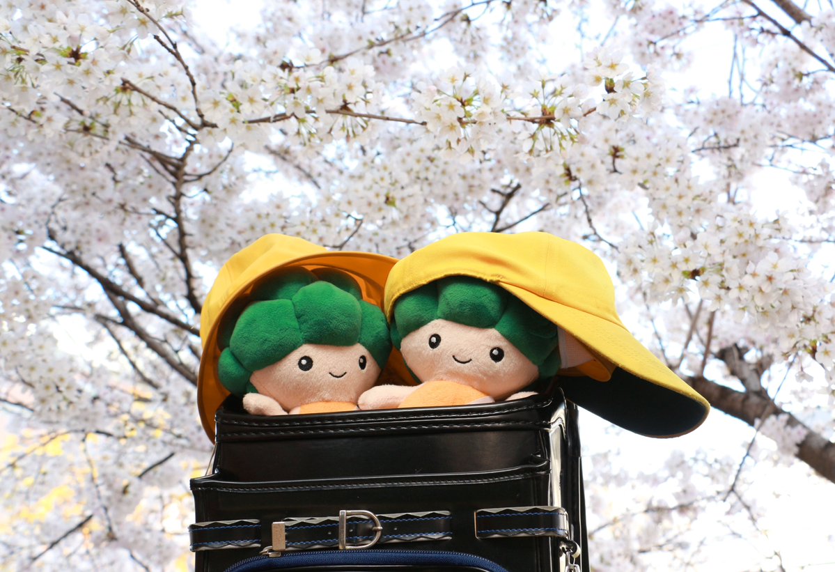 モックル(河内長野市公式) tweet media