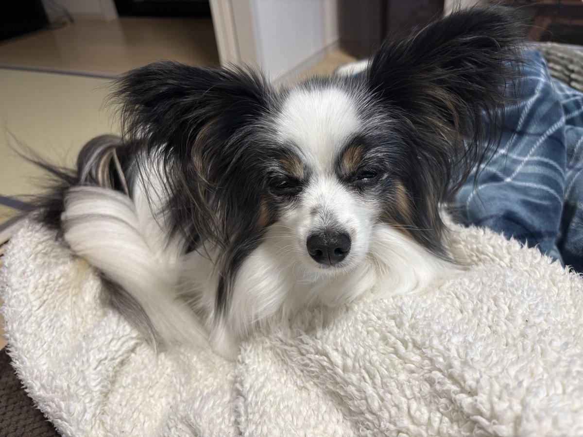 落ちる一歩手前で頑張るボクちん