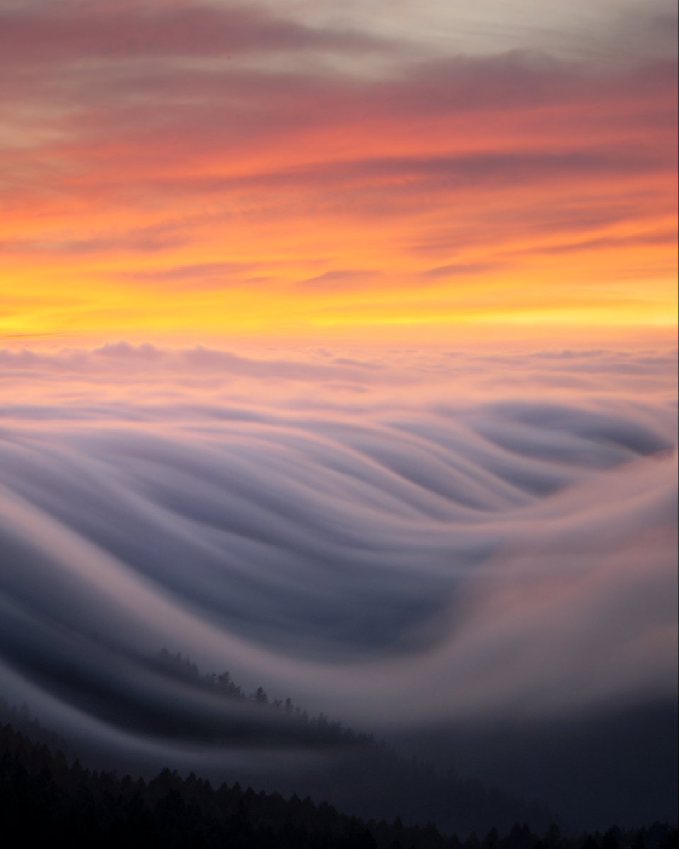 Cody Mayer tweet media