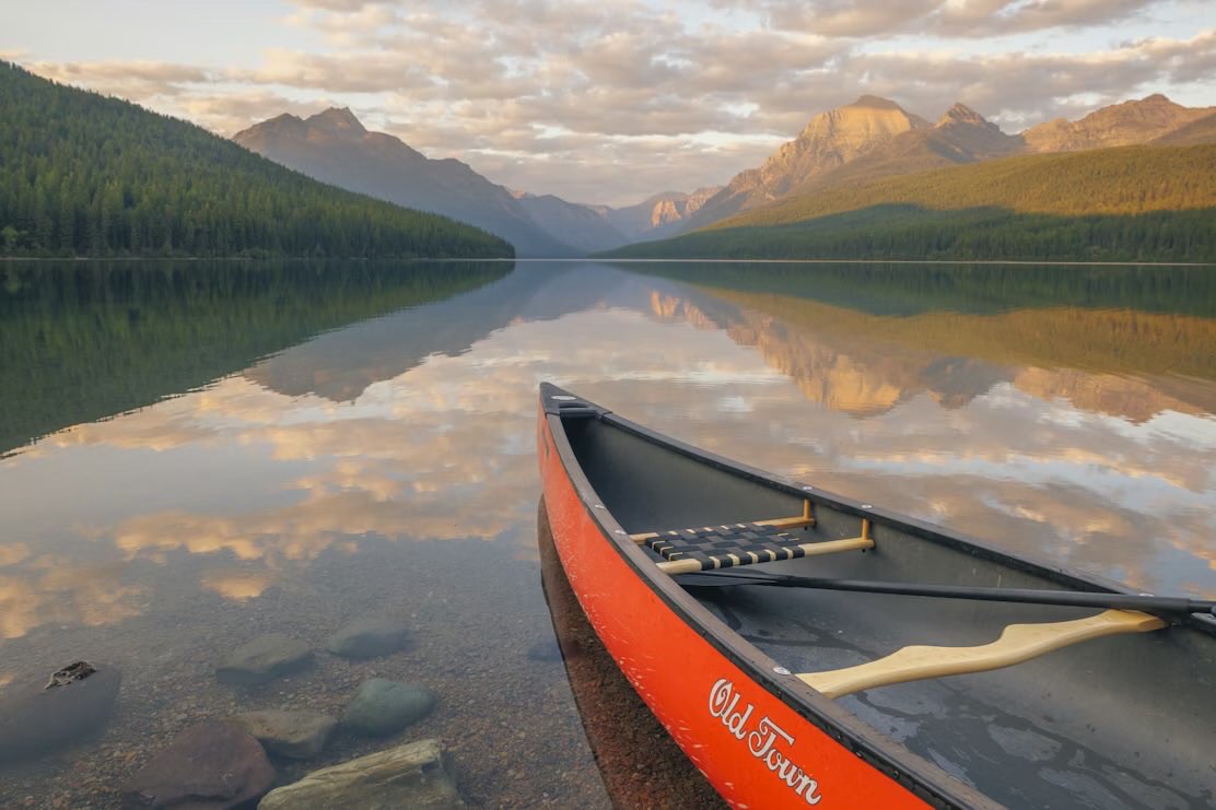 Cody Mayer tweet media