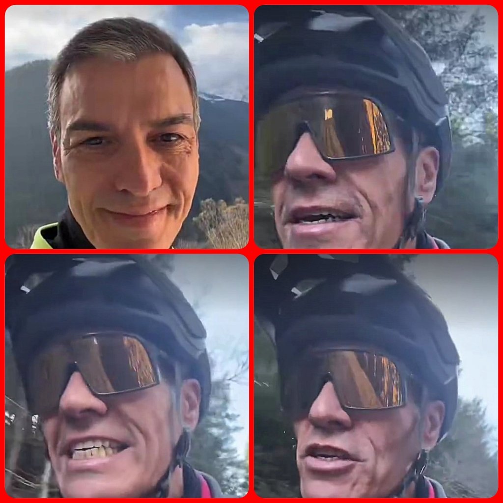 Adriana Cuervo tweet media