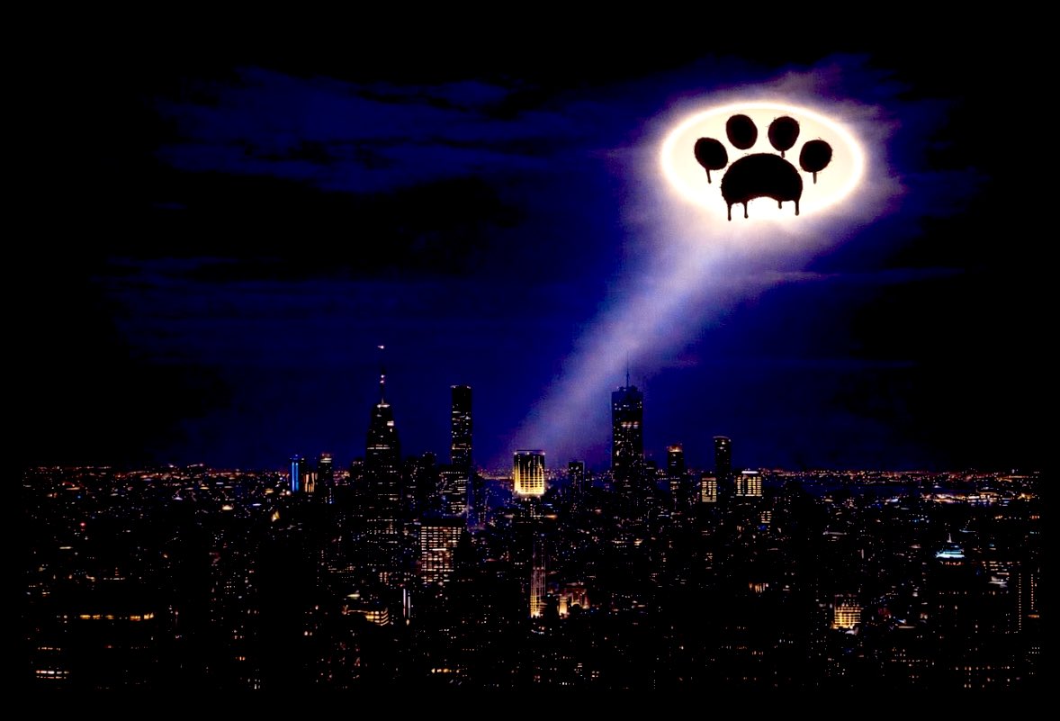 $BP is the real one. <a href="/BarkingPuppy8/">TheRealBarkingPuppy</a>