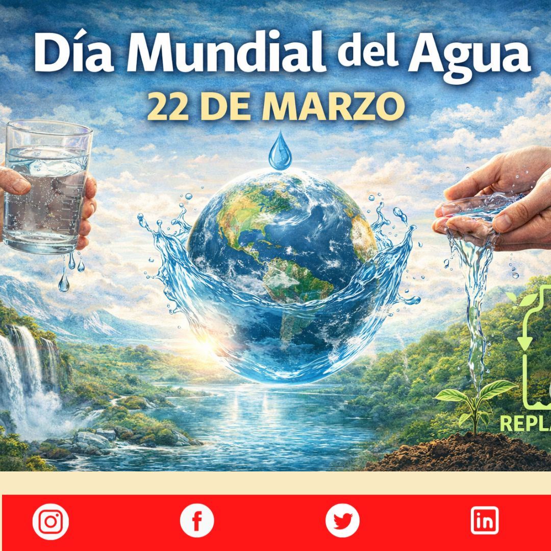 Replalez tweet media