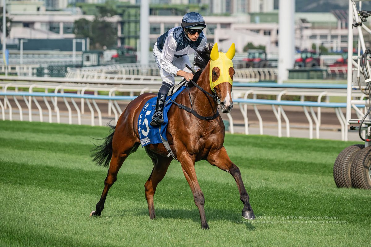 Donald Lee tweet media