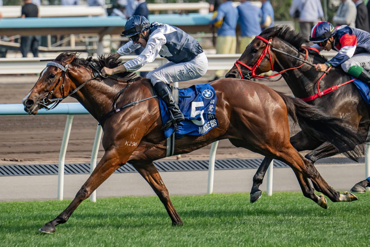 Donald Lee tweet media