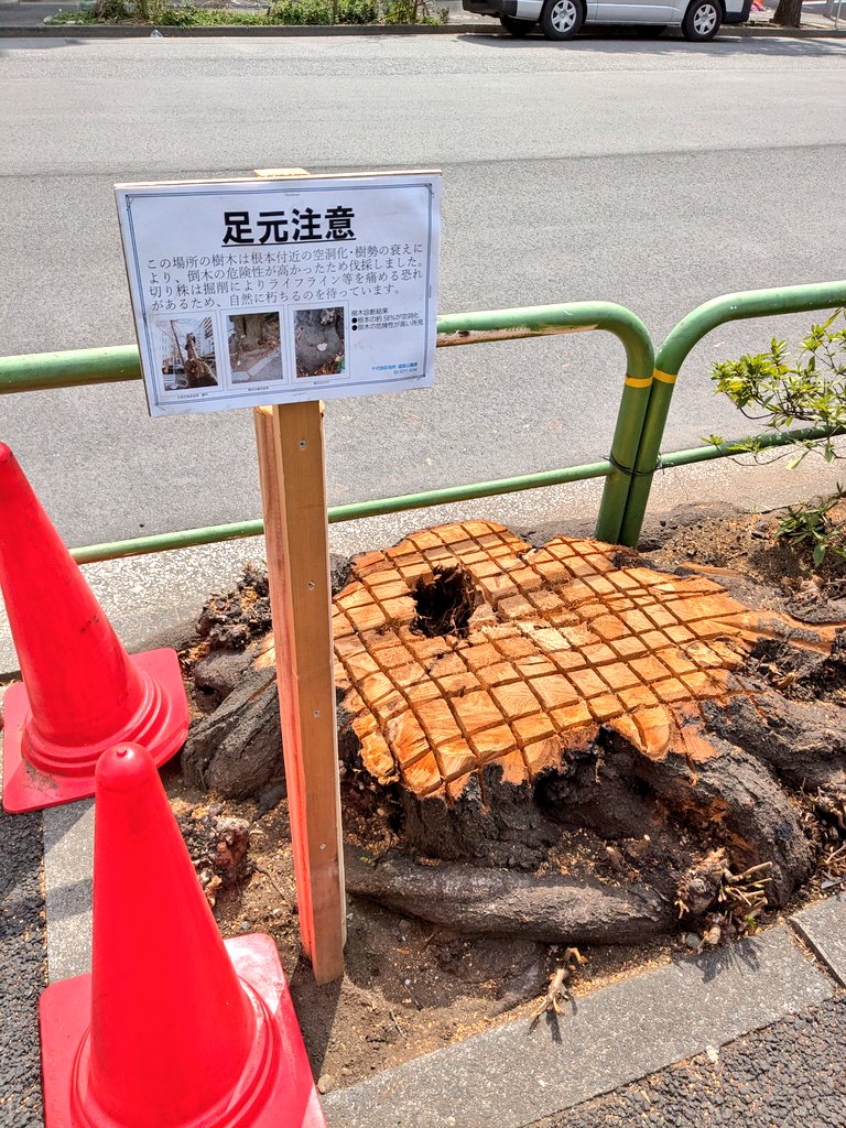 さいみん tweet media