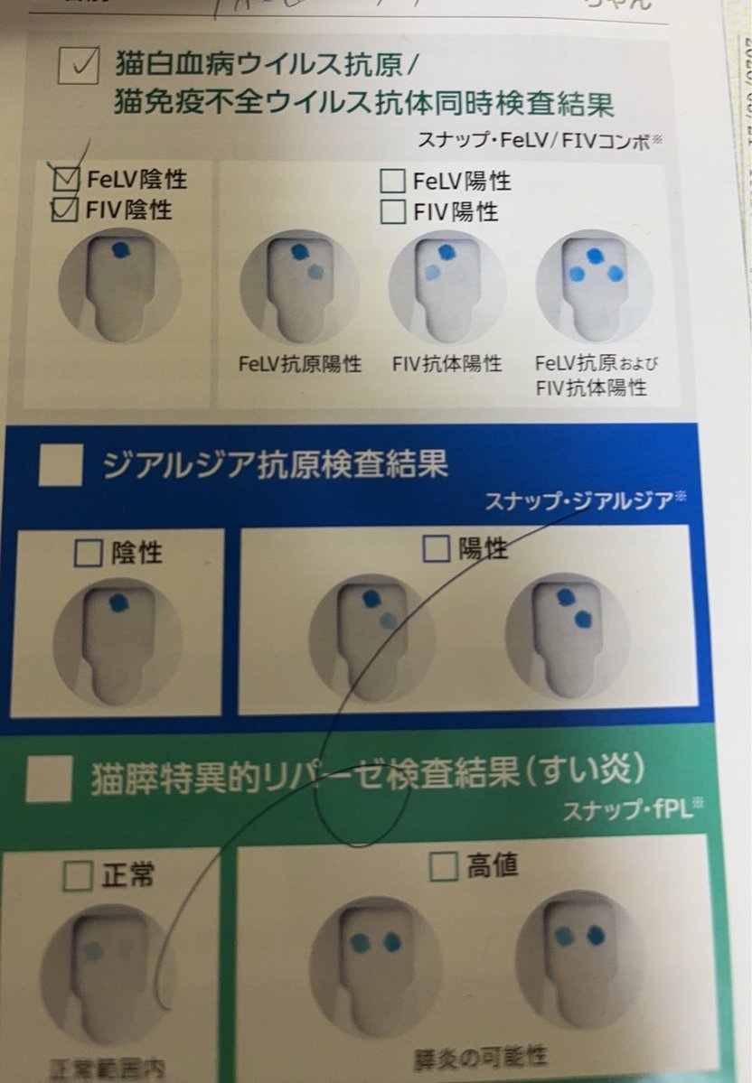 小梅さん tweet media