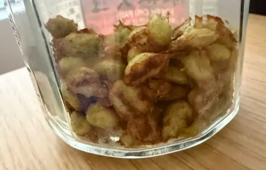 mimi ミミ👻💧【BONDLIVE EN】 tweet media