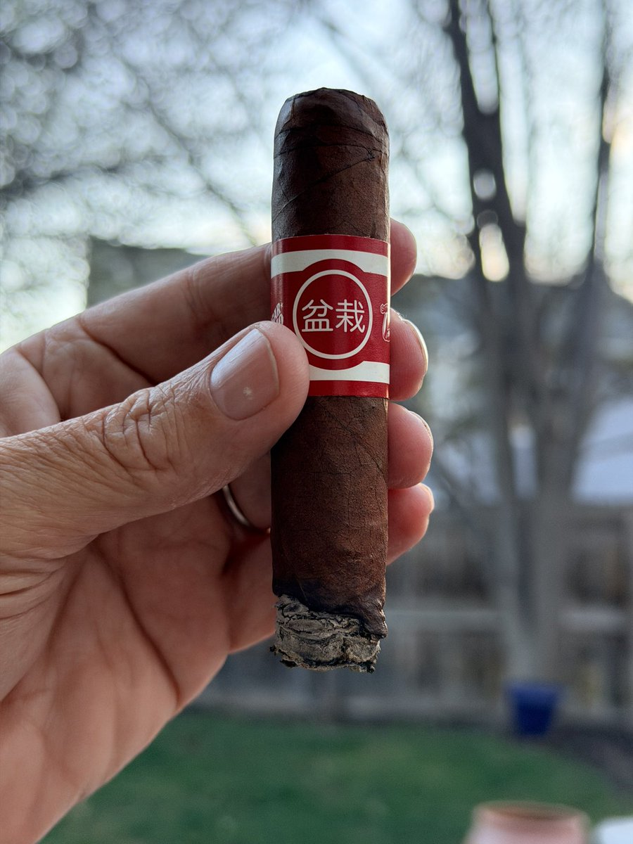 Cigar Dojo tweet media