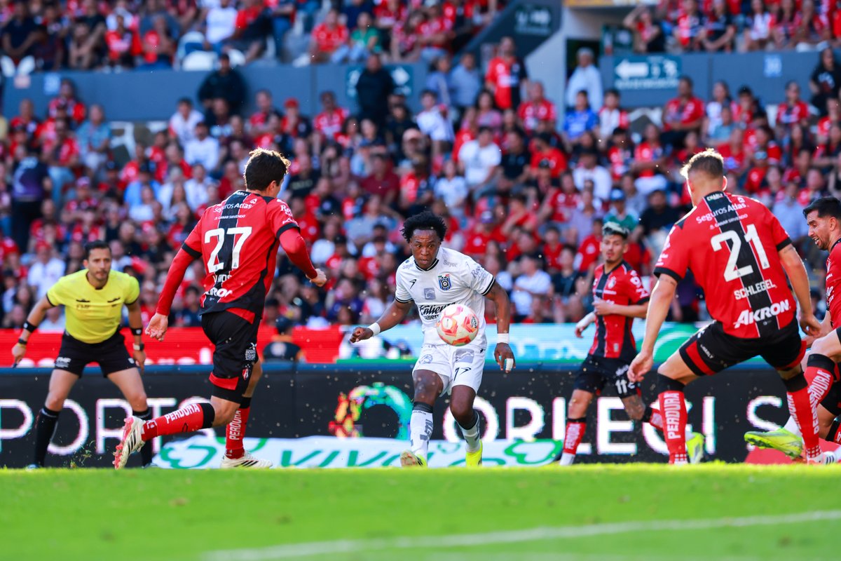 Paco Chimal tweet media