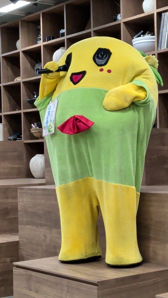 Yoshiko(ふなっしー命名♪ファーストサマーYoshiko) tweet media