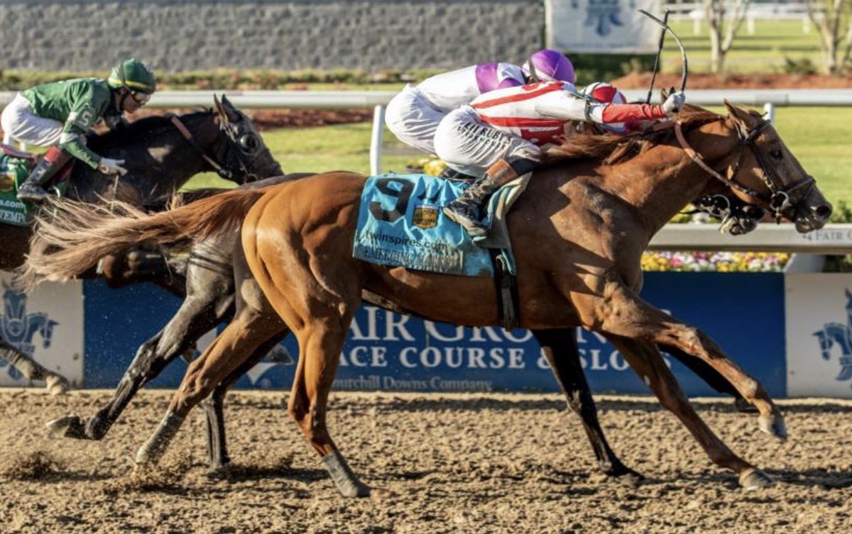 Stakes Winners 🏆 tweet media