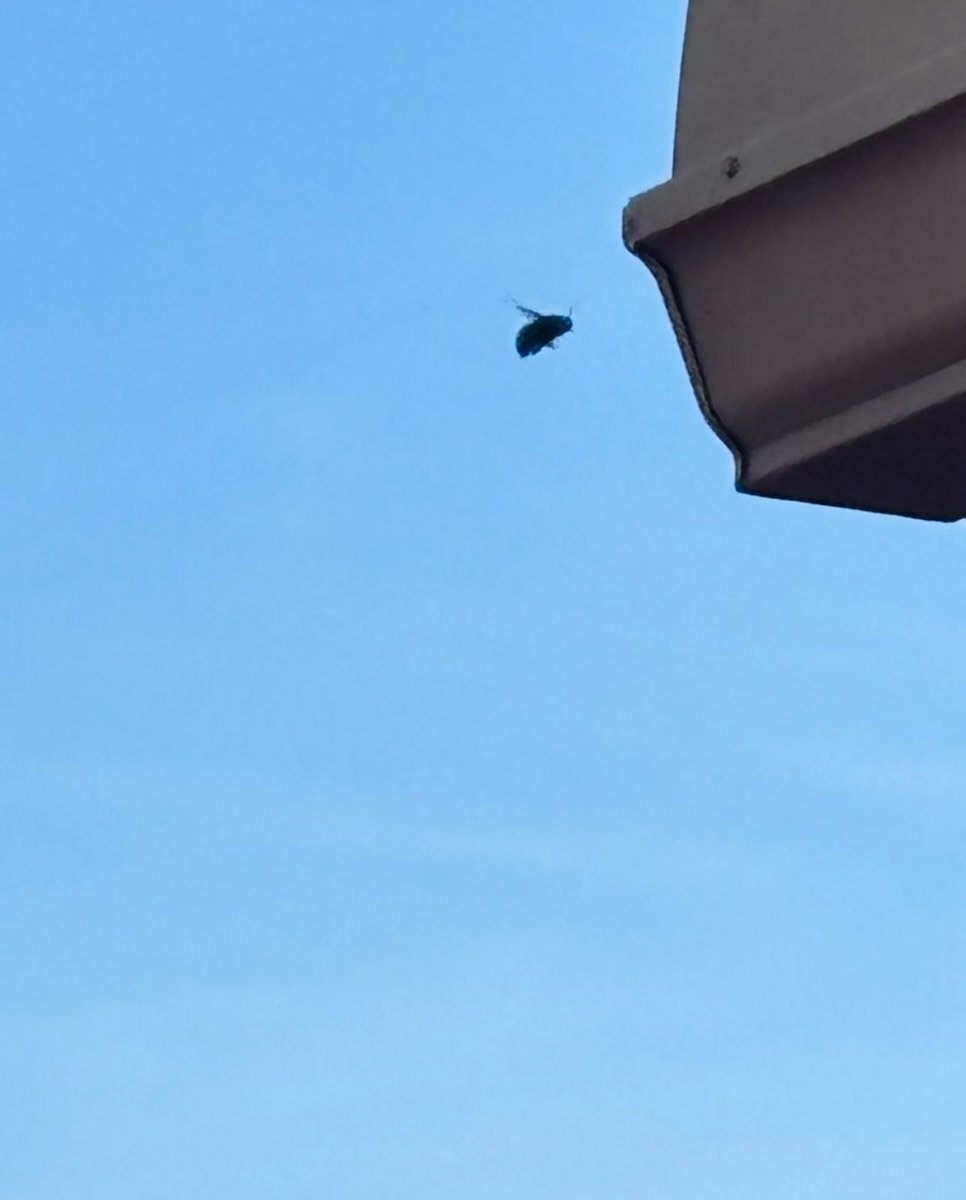 YouLookLikeAMom tweet media