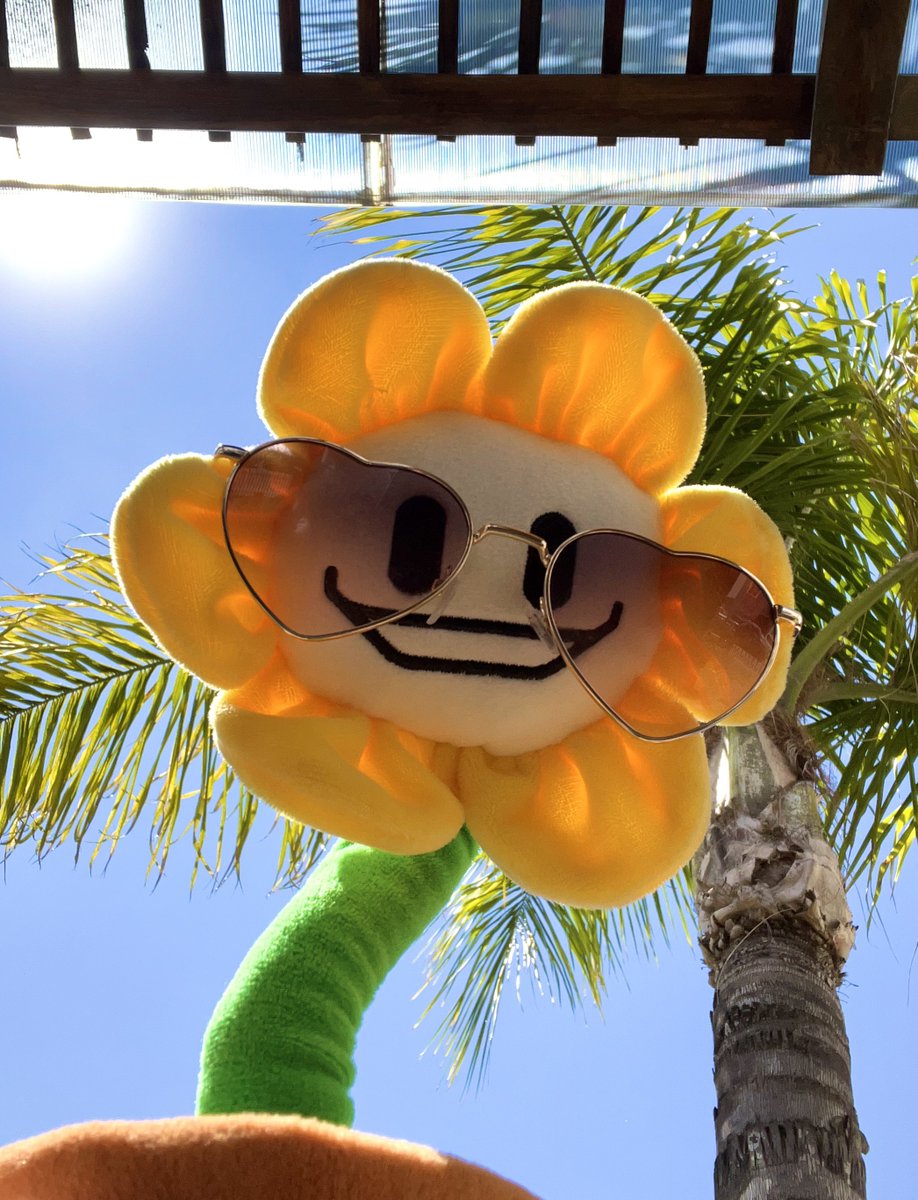 Nyum🌸🍯 tweet media