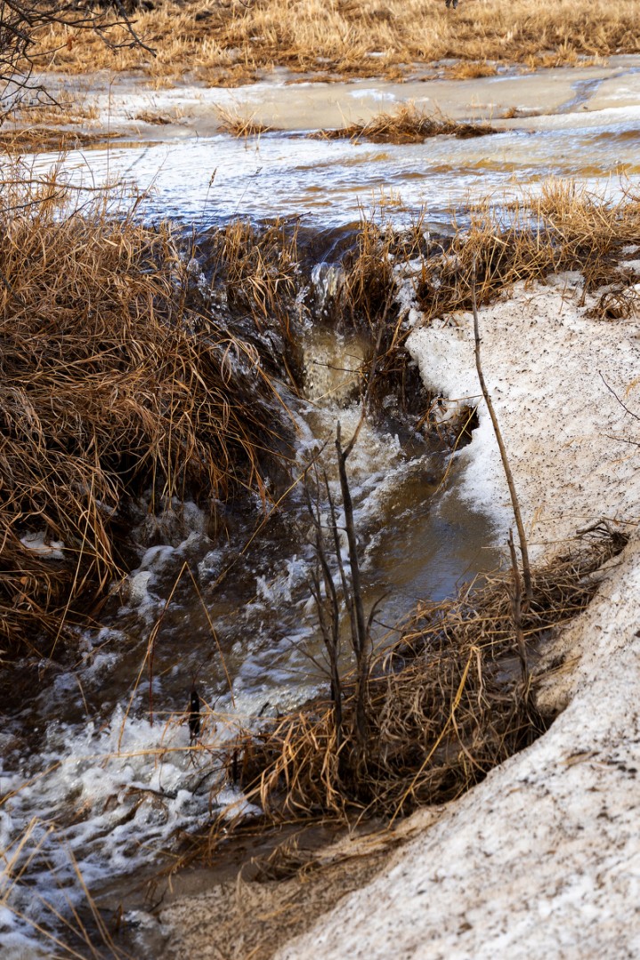 Brian Kennedy🧢 tweet media