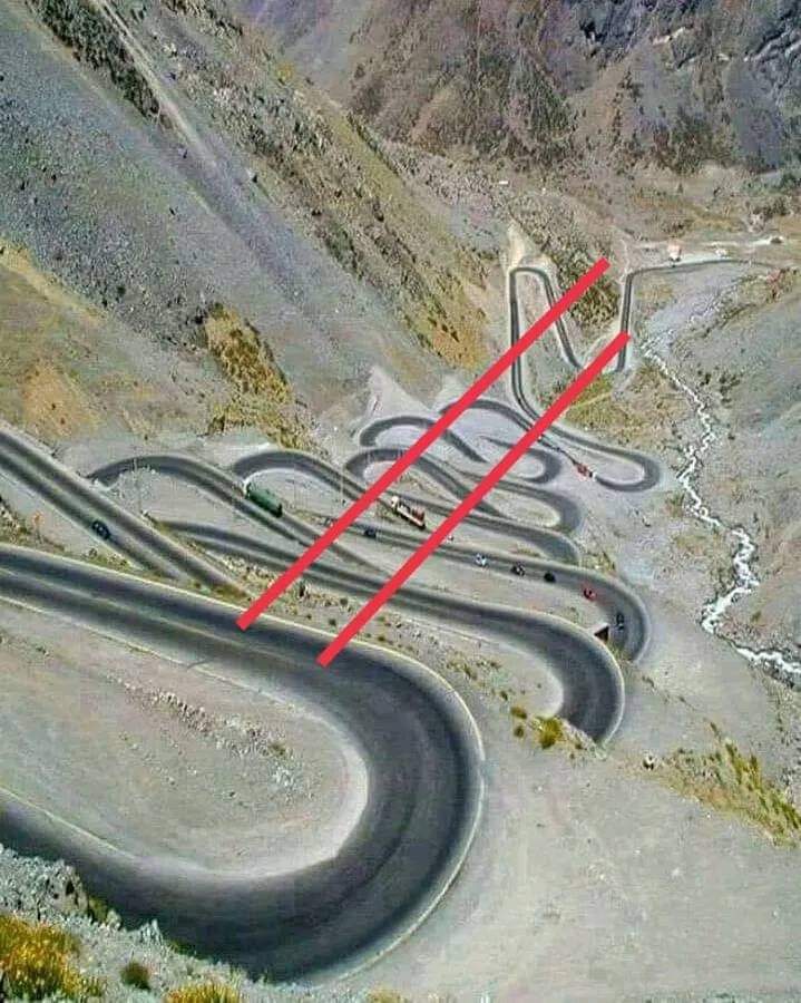 Ladrones Siendo Domad🐀s tweet media