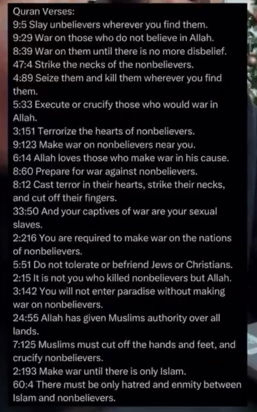 Charlie Uffizi Saferstein tweet media