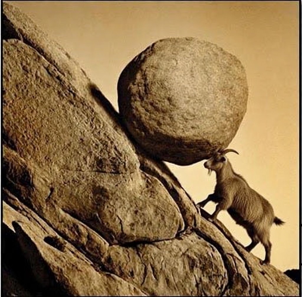 Zizzrick tweet media