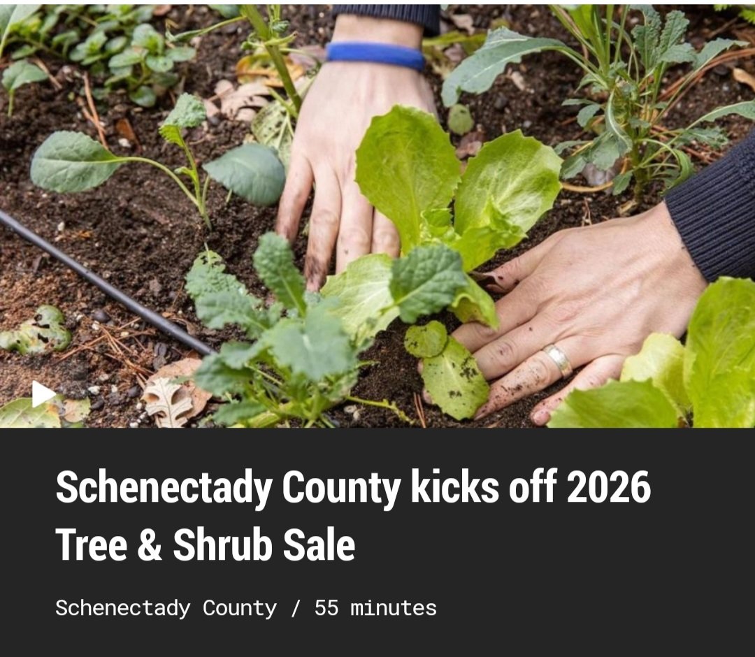 Bob Lonsberry tweet media