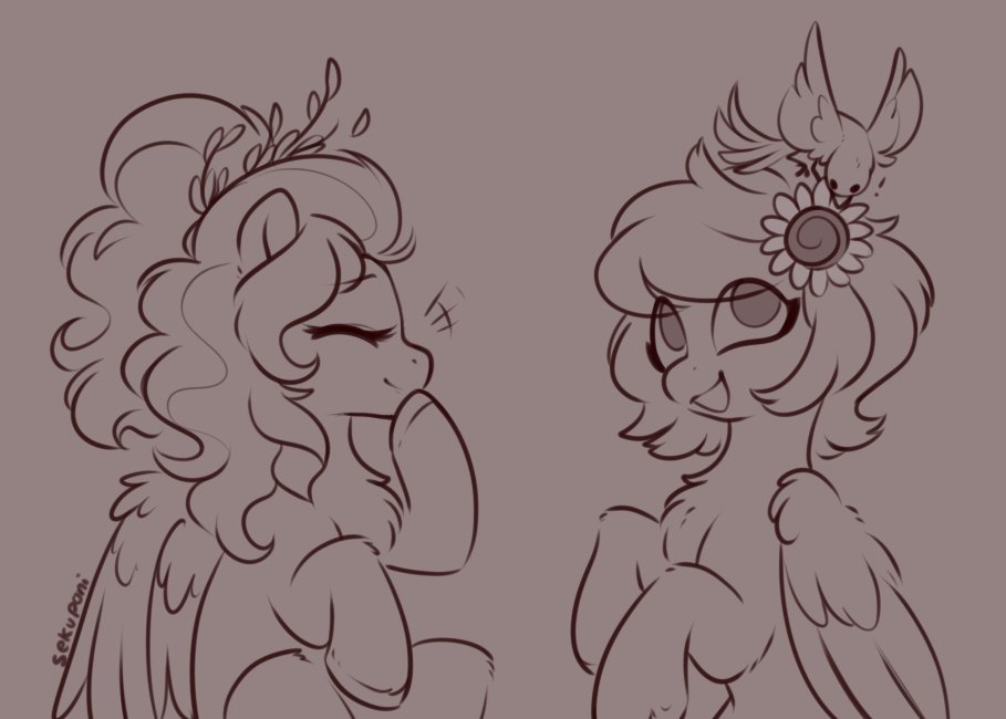 Sekuponi tweet media