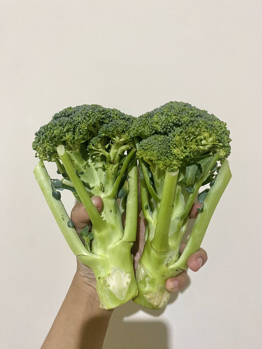 Congratulations ☀️ tweet media