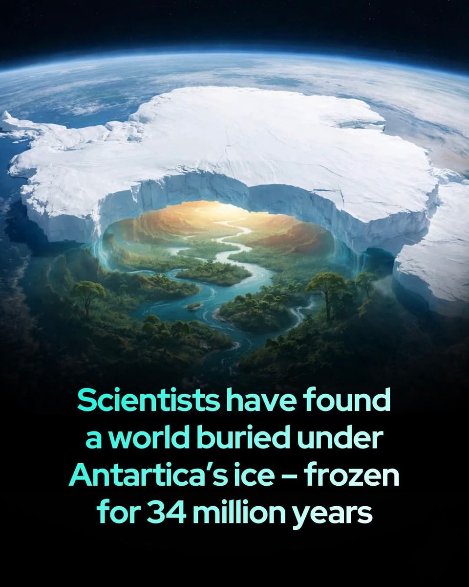 Shining Science tweet media