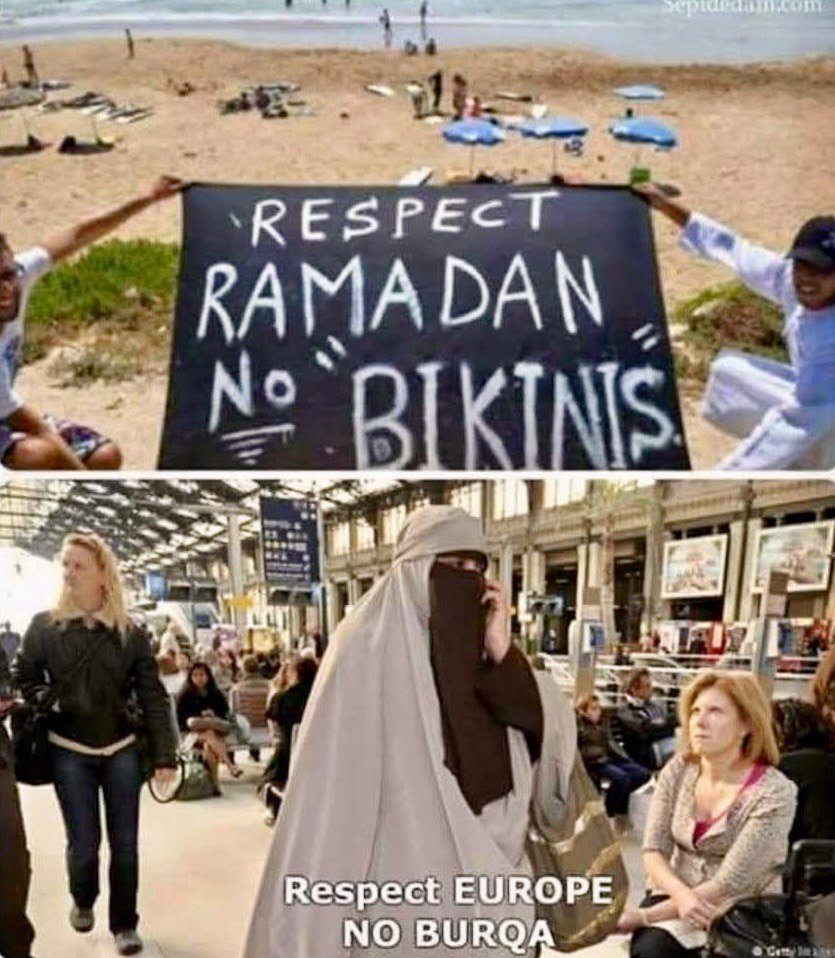 Fight With Memes tweet media