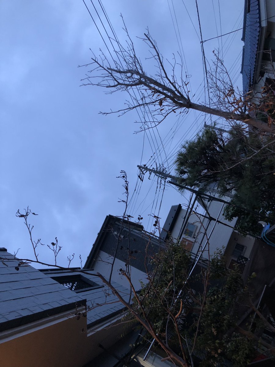 022RED's tweet photo. おはよう！なんと浦和ねぎが3月いっぱいで閉店！！骨董ボトルは北浦和ねぎに引き継ぐ予定です！ https://t.co/0DjVKzwsVt