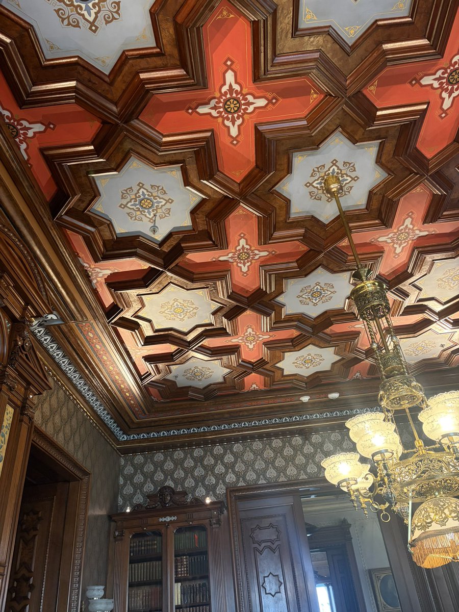 Alexandra tweet media